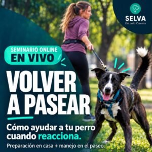 seminario perros reactivos escuela canina selva