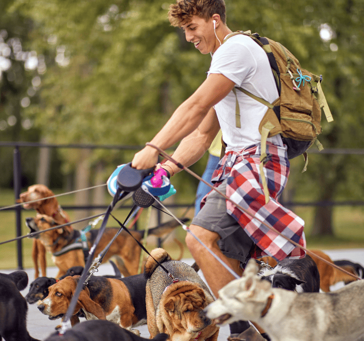 Paseador de perros: lo bueno, lo malo y lo que deberías saber antes de elegir uno