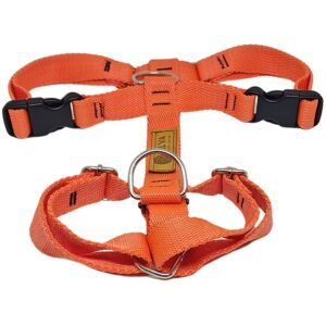 Arnés-naranja-selva
