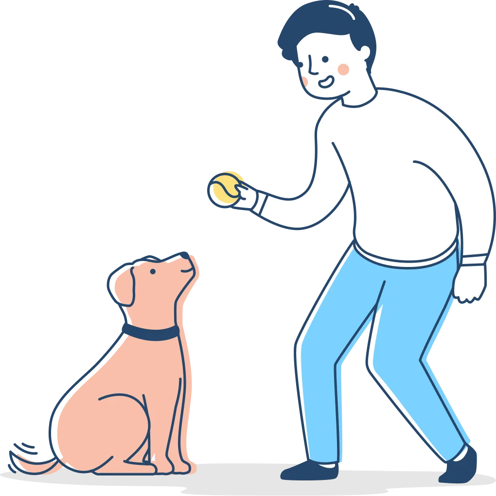 Curso de adiestrador canino profesional