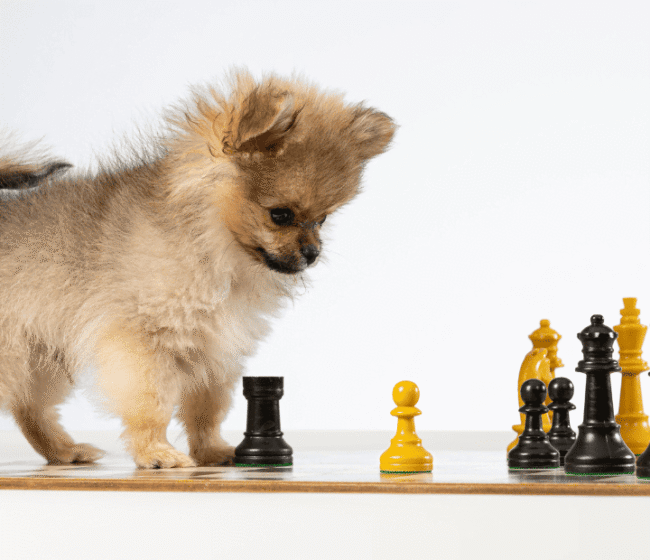 Diseno sin titulo 21 720x620 1