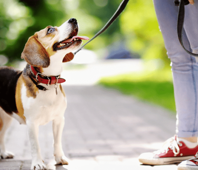 Diseno sin titulo 9 720x620 2