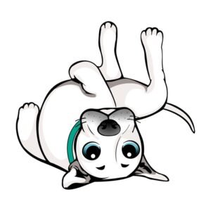 Sesión de Socialización para Cachorros (hasta 6 meses) en Escuela Selva