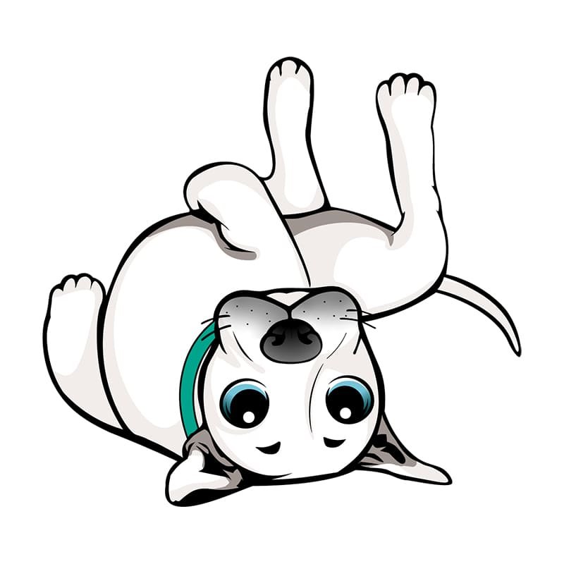 Educacion-y-Adiestramiento-Canino-Individual