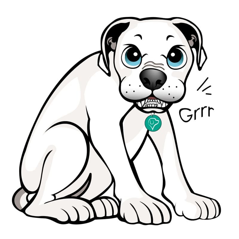 Sesión-para-casos-de-Agresión-Individual