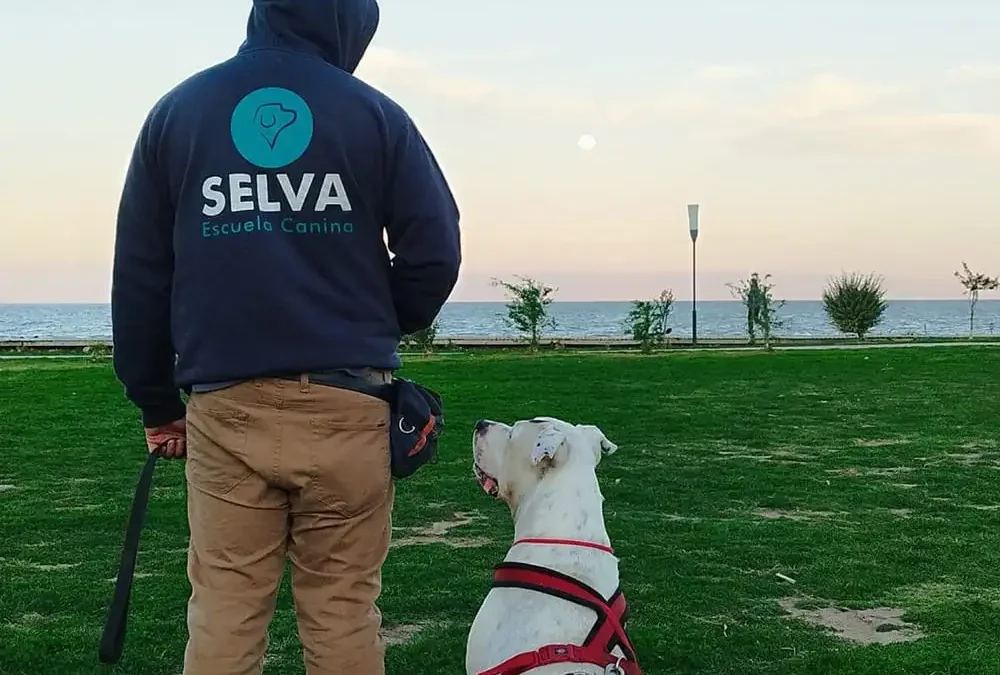 curso-educador-canino-escuela-selva-portada