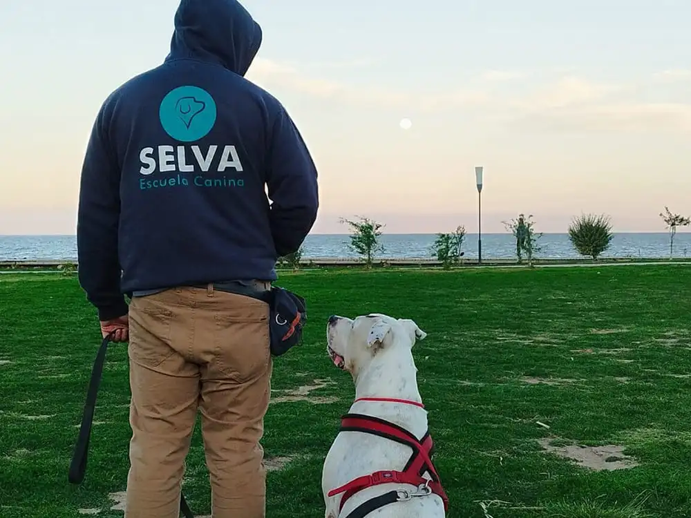 curso-educador-canino-escuela-selva-portada