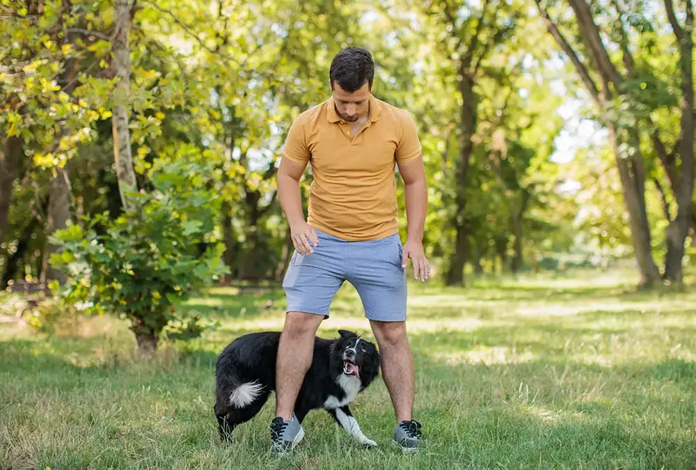 curso-educador-canino-selva-nivel-1