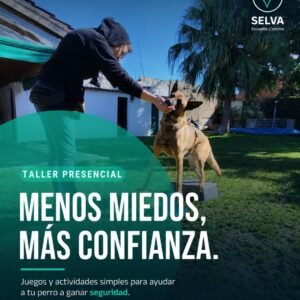 taller de propiocepción y clicker con perros